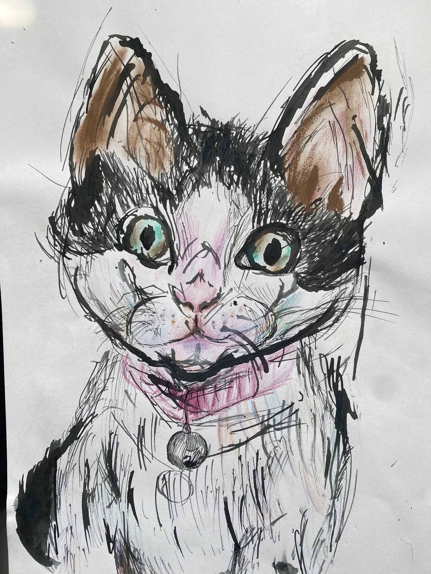 Cat Illustration