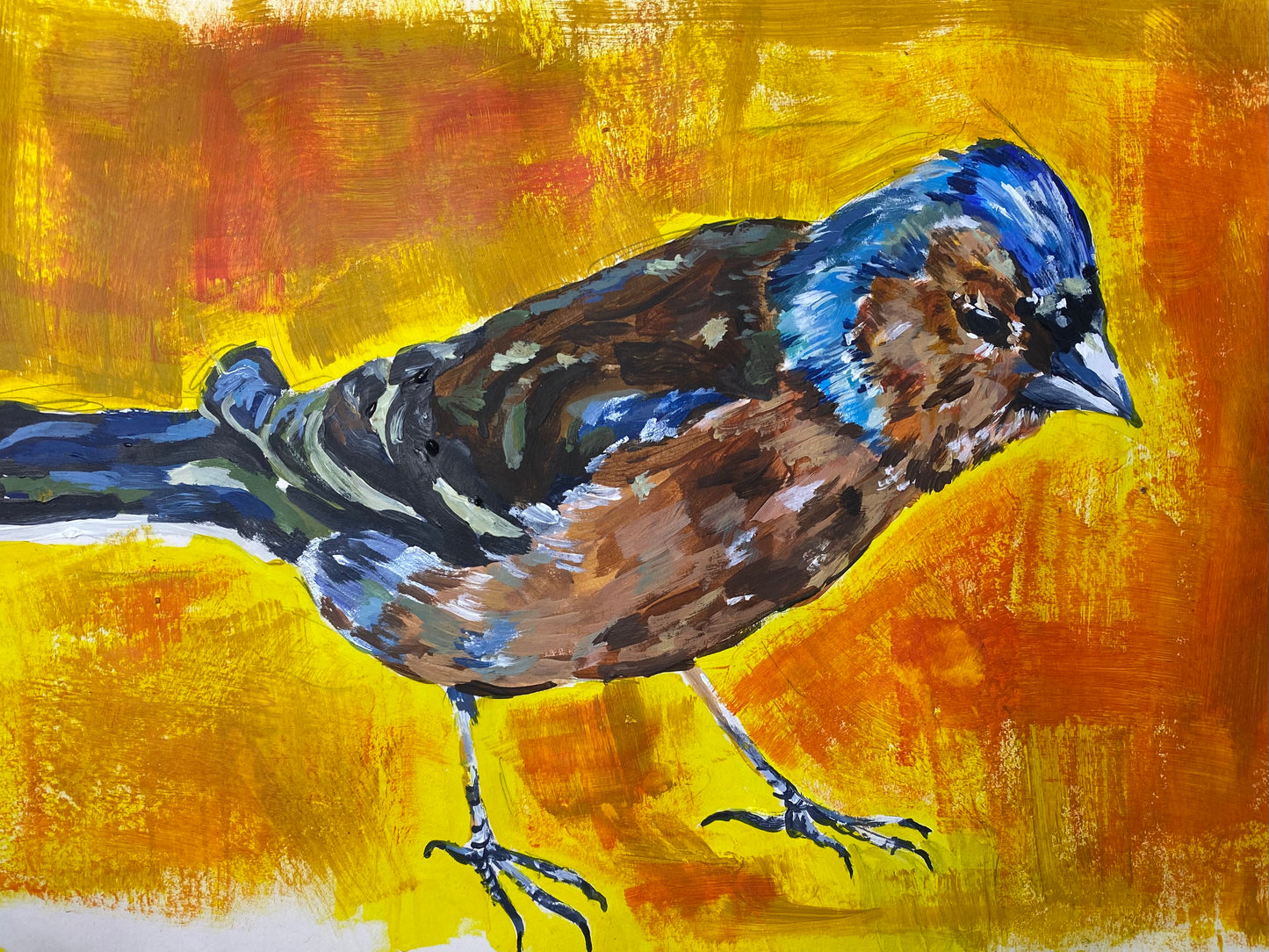 Chaffinch